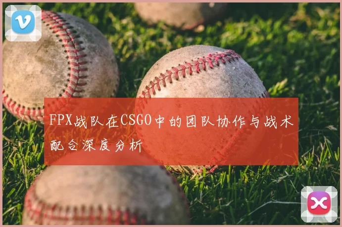 FPX战队在CSGO中的团队协作与战术配合深度分析