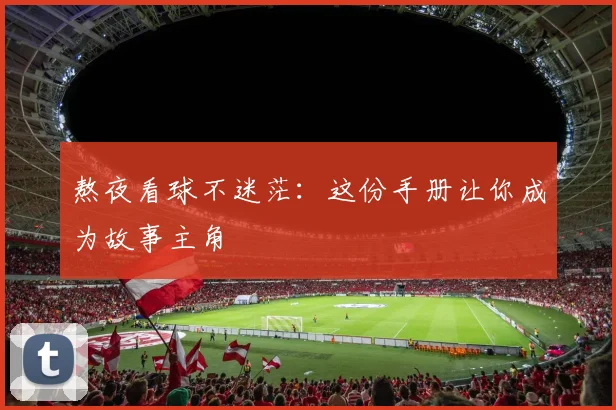 熬夜看球不迷茫:这份手册让你成为故事主角