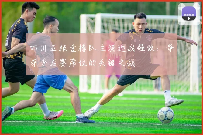 四川五粮金樽队主场迎战强敌，争夺季后赛席位的关键之战