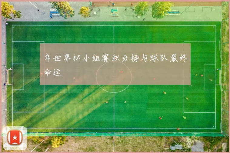 年世界杯小组赛积分榜与球队最终命运