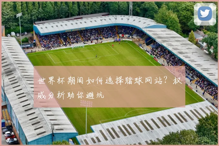 世界杯期间如何选择赌球网站?权威分析助你避坑