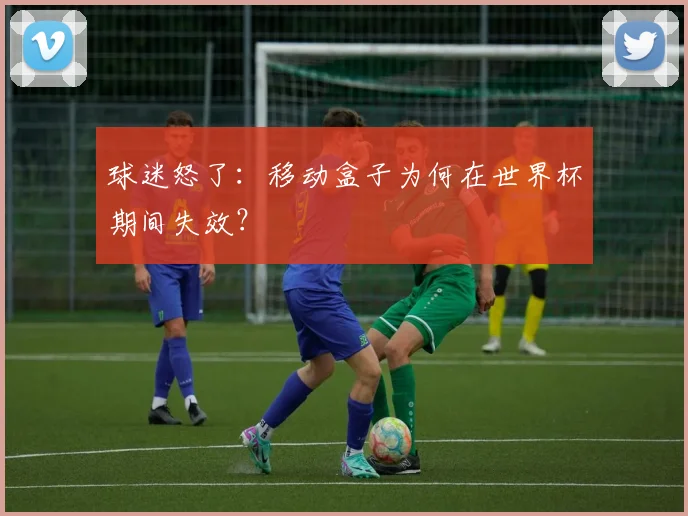 球迷怒了：移动盒子为何在世界杯期间失效？