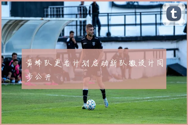 黄蜂队更名计划启动新队徽设计同步公开