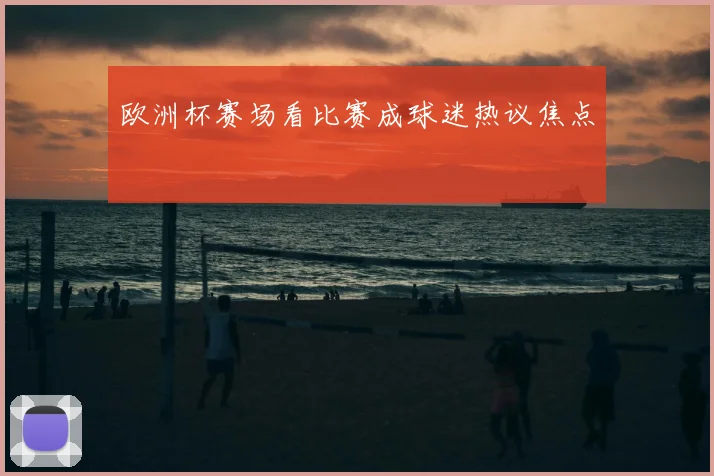 欧洲杯赛场看比赛成球迷热议焦点