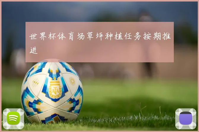 世界杯体育场草坪种植任务按期推进