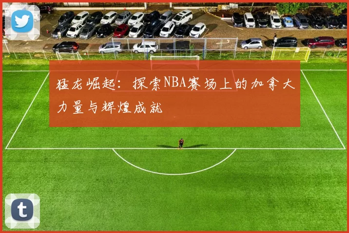 猛龙崛起：探索NBA赛场上的加拿大力量与辉煌成就
