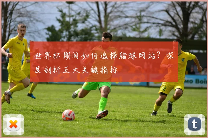 世界杯期间如何选择赌球网站？深度剖析五大关键指标