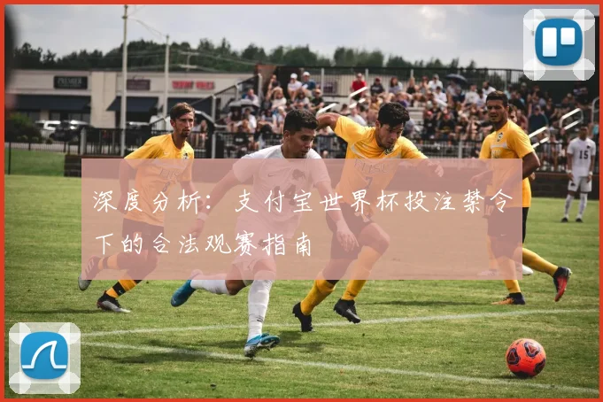 深度分析:支付宝世界杯投注禁令下的合法观赛指南