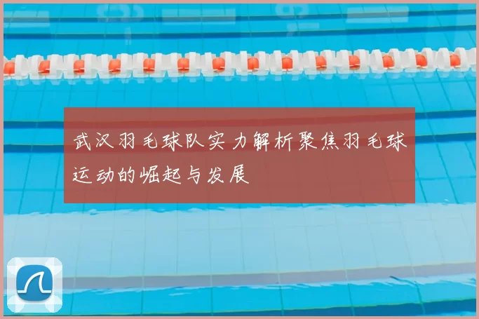 武汉羽毛球队实力解析聚焦羽毛球运动的崛起与发展