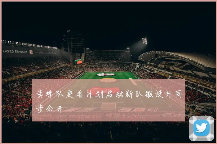 黄蜂队更名计划启动新队徽设计同步公开