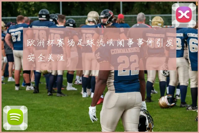 欧洲杯赛场足球流氓闹事事件引发安全关注