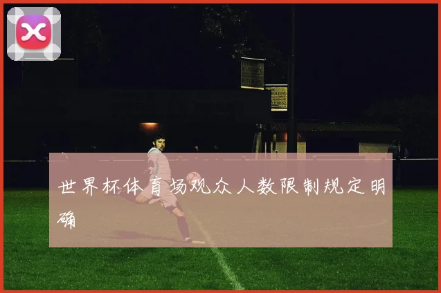 世界杯体育场观众人数限制规定明确