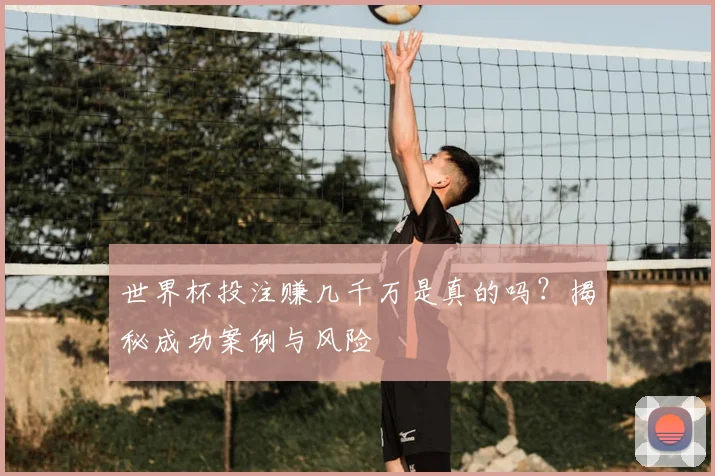 世界杯投注赚几千万是真的吗?揭秘成功案例与风险