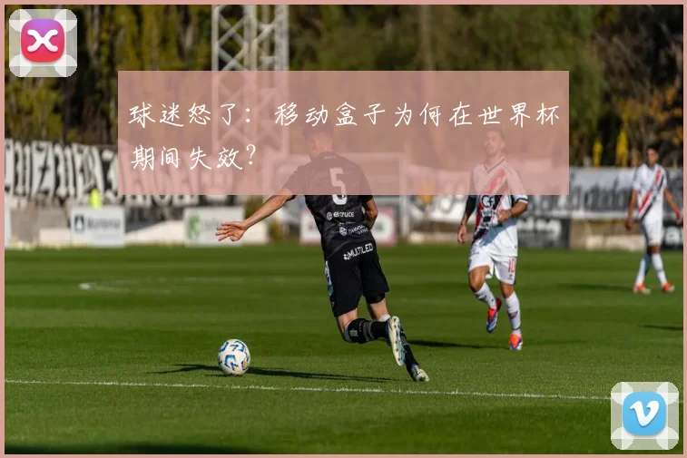 球迷怒了:移动盒子为何在世界杯期间失效?