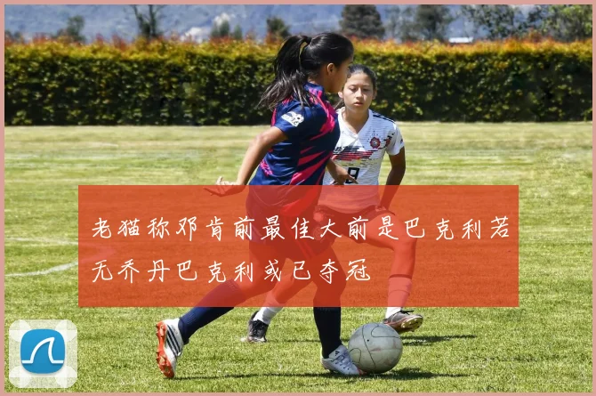 老猫称邓肯前最佳大前是巴克利若无乔丹巴克利或已夺冠