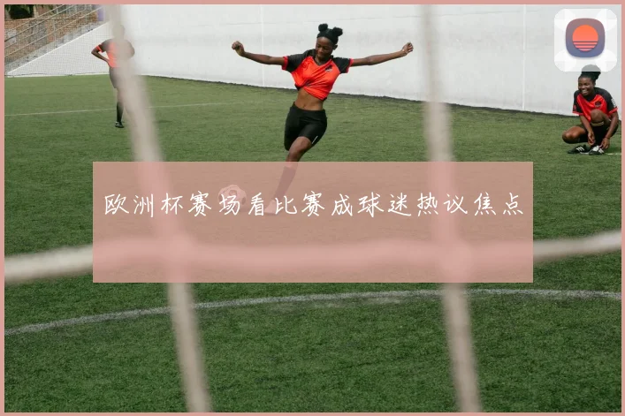 欧洲杯赛场看比赛成球迷热议焦点