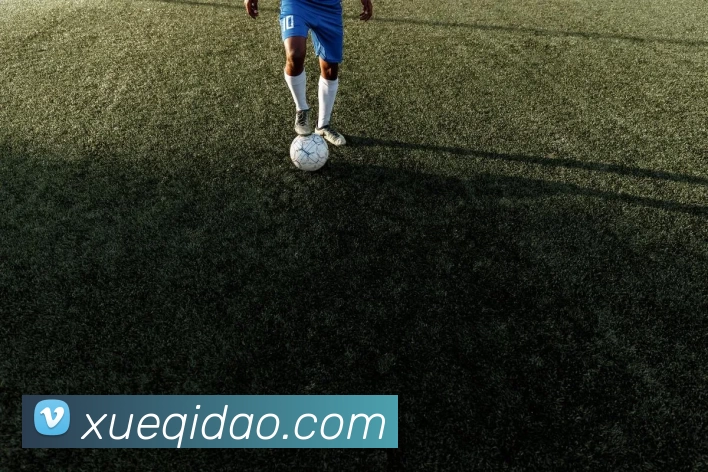 星空体育平台生态图